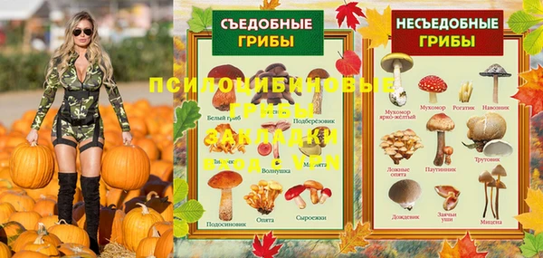 амфетамин Горнозаводск