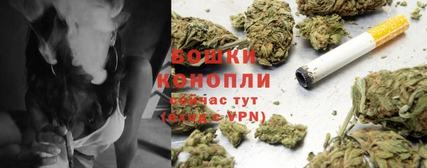 ALPHA PVP Коряжма