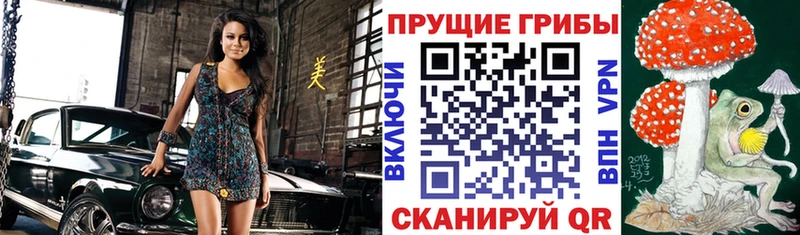 Галлюциногенные грибы прущие грибы  купить закладку  Зеленодольск 