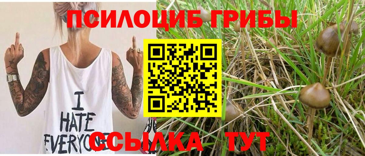 Зеленодольск  Псилоцибиновые грибы ЛСД  Вход с VPN 